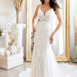 Fitted Lace with Train